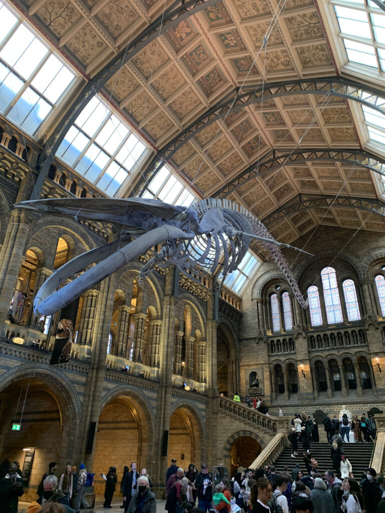 London 2022 - Natural History Museum