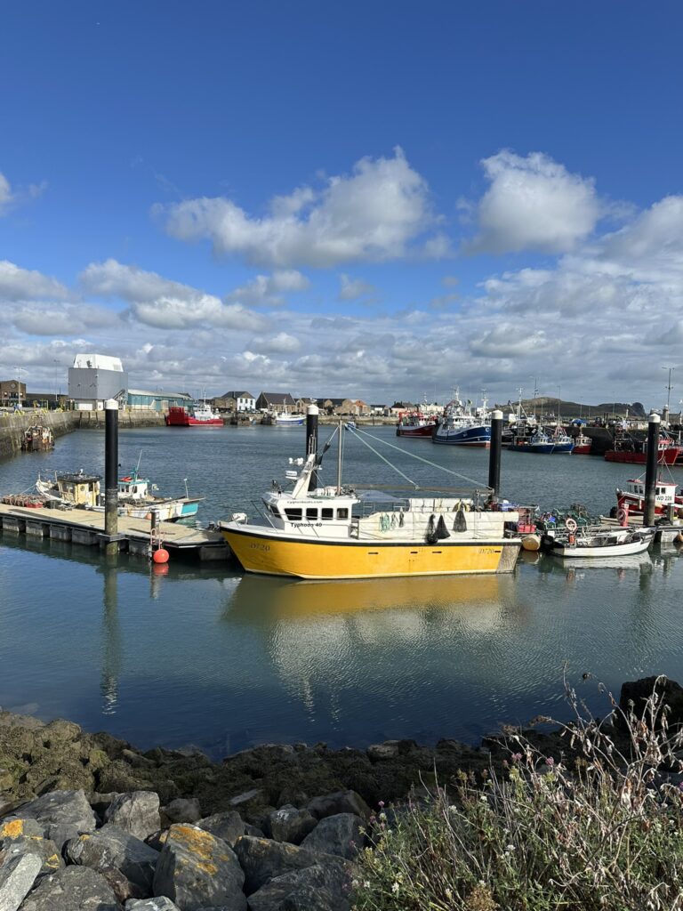 Dublin 2025 - Howth