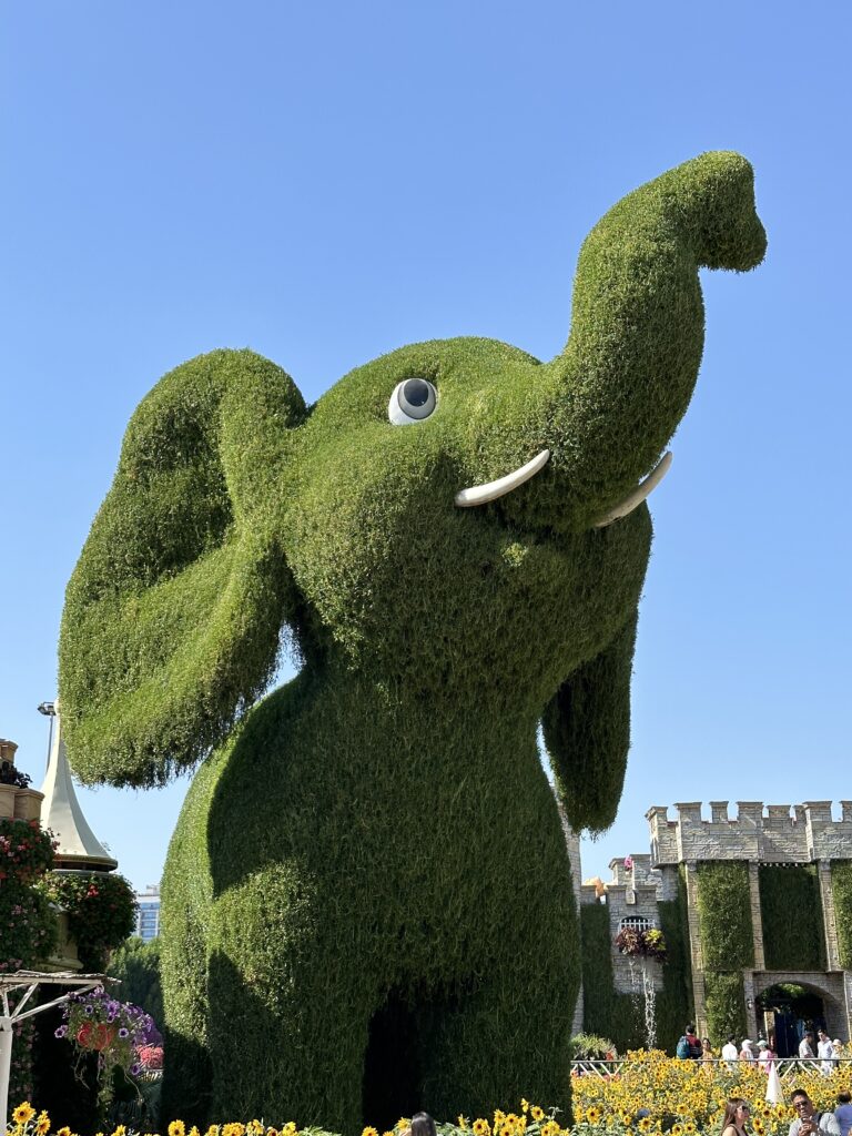 Dubai Miracle Garden